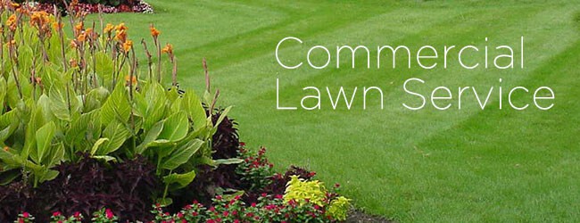 commercial lawn service